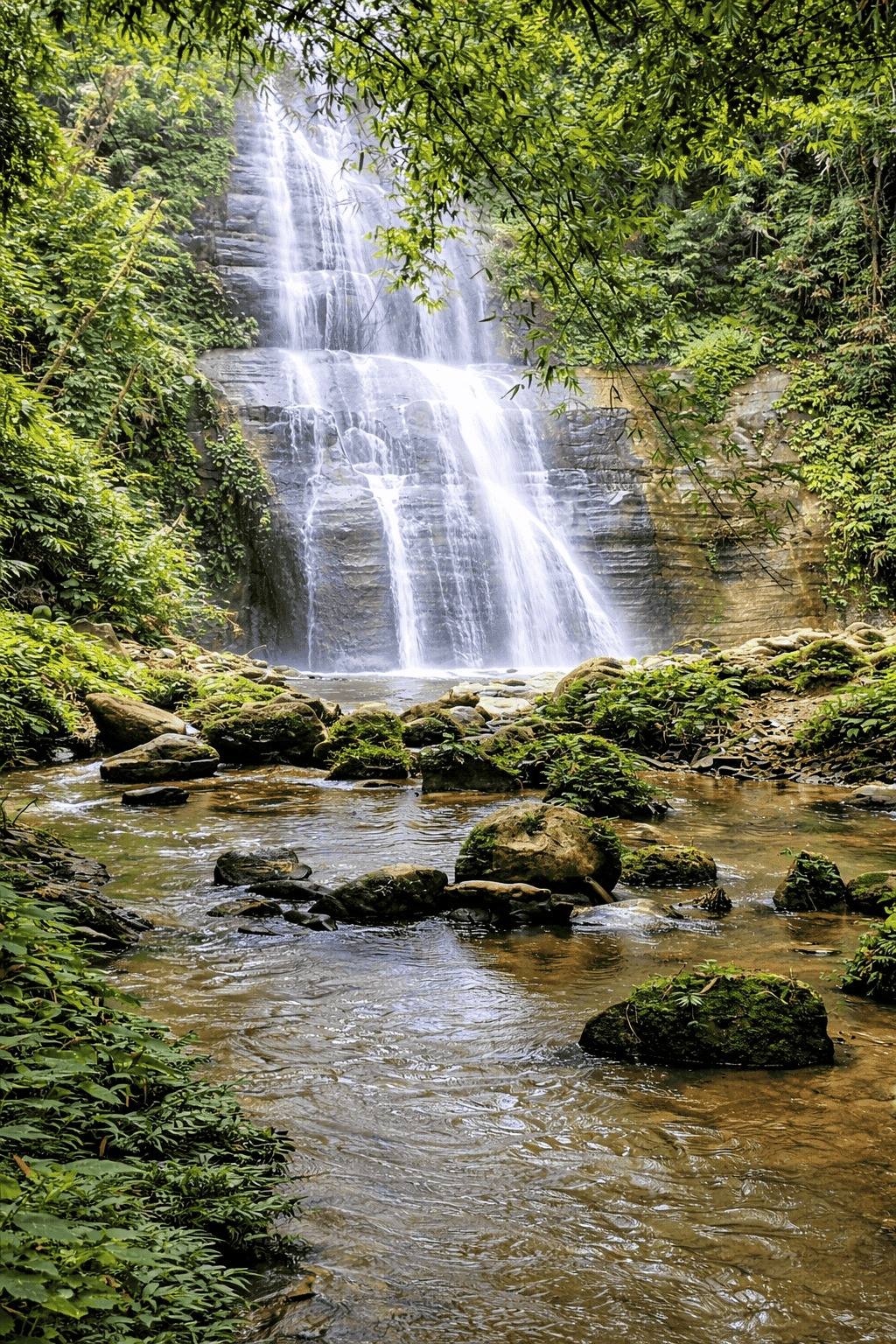 WhatsApp Image 2026-01-04 at 5.06.52 PM (1)