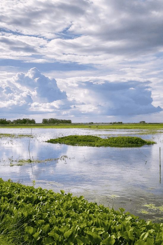 WhatsApp Image 2026-01-04 at 5.17.38 PM